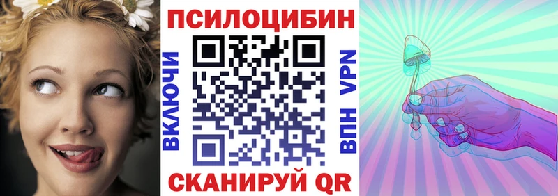 Псилоцибиновые грибы Psilocybe  Купить  Дальнереченск 